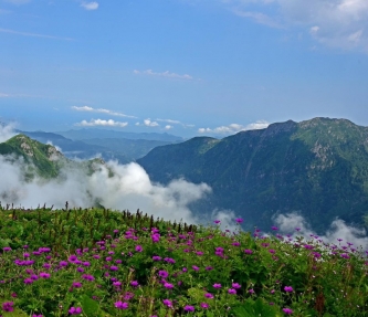 Eudaimonia | Happiness