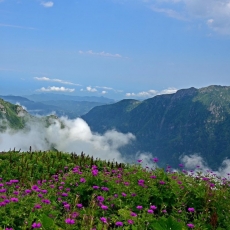 Eudaimonia | Happiness